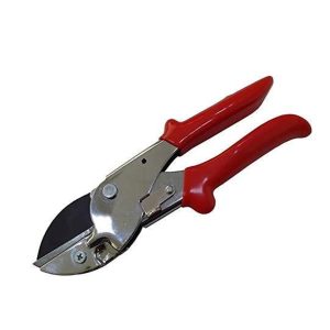 Sunya anvil pruner